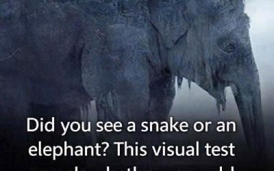 Qu’avez-vous vu au premier coup de foudre ? 97% des gens ont vu un serpent ! Découvrez si votre vieillesse sera amère ou douce !