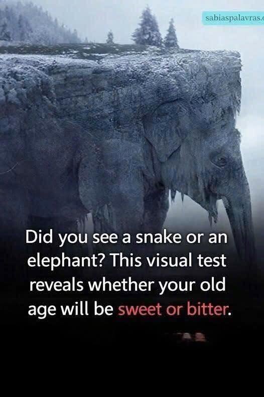 Qu’avez-vous vu au premier coup de foudre ? 97% des gens ont vu un serpent ! Découvrez si votre vieillesse sera amère ou douce !