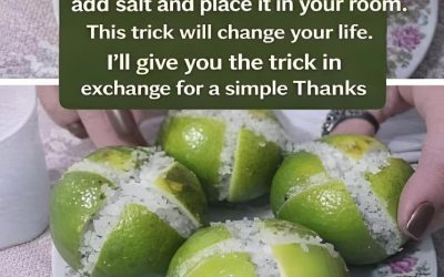 The Salted Lemon Air Purifier 1
