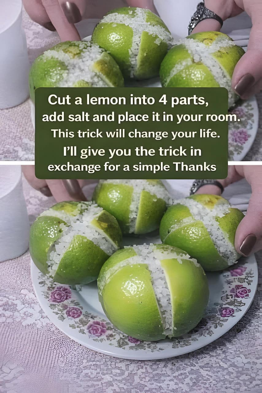 The Salted Lemon Air Purifier 1